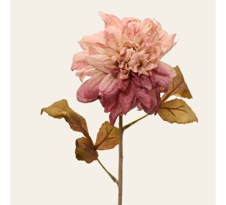 Beauty Home ΛΟΥΛΟΥΔΙ ΝΤΑΛΙΑ 75 CM       |  Λουλούδια στο espiti