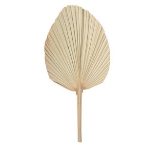 Beauty Home ΦΥΛΛΑ ΠΑΛΜΑ 70 x 33 cm       |  Λουλούδια στο espiti