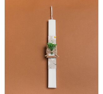 Beauty Home ΛΑΜΠΑΔΑ 33cm ΣΤΟΛΙΣΜΕΜΗ ΣΑΠΟΥΝΑΚΙ ΜΕ ΑΠΟΞΗΡΑΜΕΝΑ ΠΡΑΣΙΝΟ ΣΕ ΣΥΣΚΕΥΑΣΙΑ ΔΩΡΟΥ       |  Διακοσμητκά στο espiti