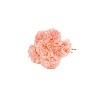 Beauty Home 6 ΟΡΤΑΝΣΙΕΣ ΡΟΖ 10x8cm       |  Λουλούδια στο espiti