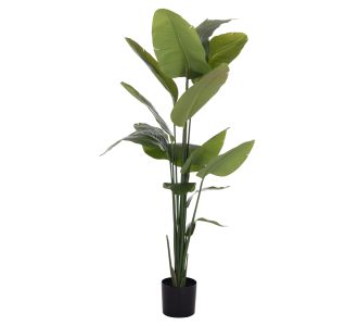 ΔΙΑΚΟΣΜΗΤΙΚΟ ΣΥΝΘΕΤΙΚΟ ΦΥΤΟ HM4739 ΣΤΡΕΛΙΤΣΙΑ ΣΕ ΓΛΑΣΤΡΑ Φ18x172Υεκ. |  Λουλούδια στο espiti