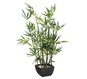 Φυτό σε γλάστρα Green pakoworld 43x34x67εκ |  Λουλούδια στο espiti