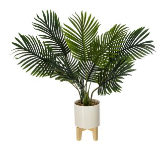 Φυτό σε γλάστρα Green4  pakoworld 83x75x65εκ |  Λουλούδια στο espiti