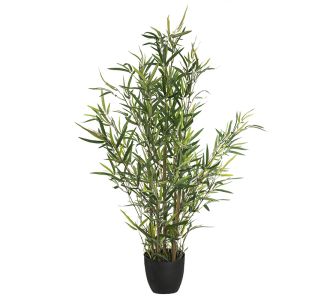 Φυτό σε γλάστρα Green10 pakoworld 63x55x90εκ |  Λουλούδια στο espiti