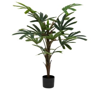 Φυτό σε γλάστρα Emeric pakoworld 15x13x120εκ |  Λουλούδια στο espiti