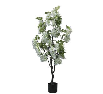 Διακοσμητικό φυτό Bean flowers σε γλάστρα Inart λευκό pp Υ125εκ |  Λουλούδια στο espiti