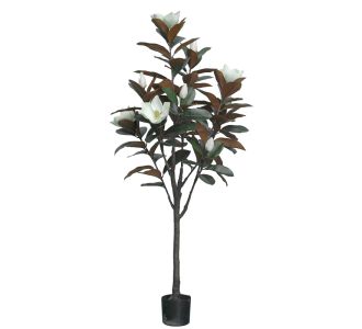 Διακοσμητικό φυτό Mangola I σε γλάστρα Inart λευκό pp Υ155εκ |  Λουλούδια στο espiti