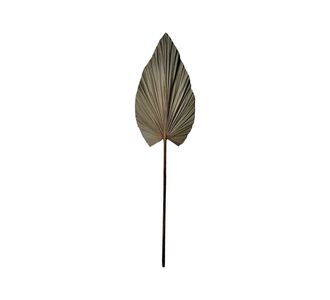 Διακοσμητικό φύλλο Leafen I Inart φυσικό palm leaf 130εκ |  Διακοσμητκά στο espiti