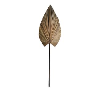 Διακοσμητικό φύλλο Leafen pakoworld φυσικό palm leaf 150 εκ |  Διακοσμητκά στο espiti