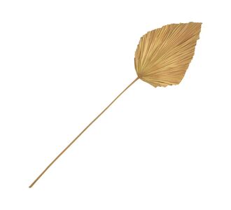 Διακοσμητικό φύλλο Walsy Inart palm leaf σε φυσική απόχρωση Υ135 εκ |  Διακοσμητκά στο espiti