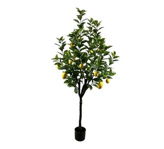 Διακοσμητικό φυτό Lemon tree σε γλάστρα Inart πράσινο pp Υ180εκ |  Φυτά συνθετικά - Λουλούδια στο espiti