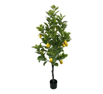 Διακοσμητικό φυτό Lemon tree σε γλάστρα Inart πράσινο pp Υ150εκ |  Φυτά συνθετικά - Λουλούδια στο espiti