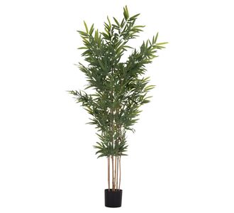 ΔΙΑΚΟΣΜΗΤΙΚΟ ΣΥΝΘΕΤΙΚΟ ΦΥΤΟ HM4737 BAMBOO ΣΕ ΓΛΑΣΤΡΑ 20x95x200Υεκ. |  Φυτά συνθετικά - Λουλούδια στο espiti