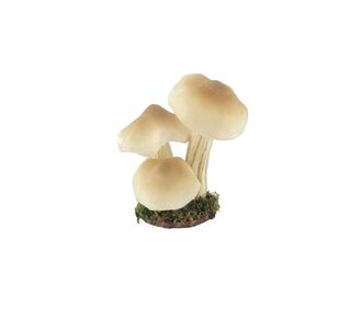 Beauty Home 3 μανιτάρια σε βάση με βρύα Ø7 x 14 cm       |  Χριστουγεννιάτικα Διακοσμητικά στο espiti