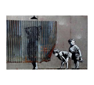 ΠΙΝΑΚΑΣ TOIXOY ΣΕΙΡΑ GOBI HM4821 ΕΚΤΥΠΩΜΕΝΟΣ ΚΑΜΒΑΣ 70x3(πάχος)x50Yεκ. |  Πίνακες στο espiti