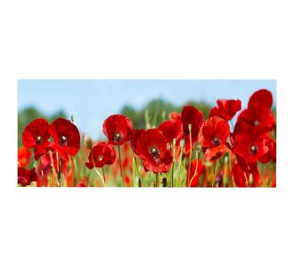 ΠΙΝΑΚΑΣ TOIXOY ΣΕΙΡΑ GOBI HM4786 ΕΚΤΥΠΩΜΕΝΟΣ ΚΑΜΒΑΣ 120x3(πάχος)x50Υεκ. |  Πίνακες στο espiti