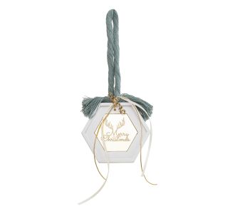 Beauty Home ΚΡΕΜΑΣΤΟ ΠΟΛΥΓΩΝΟ ΚΕΡΑΜΙΚΟ ΜΕ PLEXI MERRY CHRISTMAS ΓΑΛΑΖΟΠΡΑΣΙΝΟ       |  Χριστουγεννιάτικα Στολίδια στο espiti