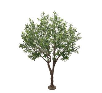 OLIVE TREE NP496_240_UV ΥΨΟΣ 240cm NewPlan - NewPlan |  Λουλούδια στο espiti