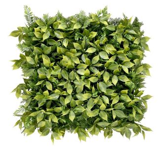 ΠΑΝΕΛ ΦΥΛΛΩΣΙΑΣ BILBAO 50 Χ 50 F028 SUMMER CHERRY RAIN NewPlan - NewPlan |  Κάθετοι Κήποι στο espiti