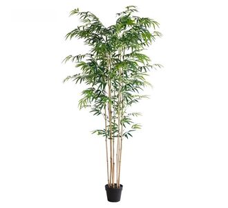 BAMBOO  NP0070_210 ΥΨΟΣ 210cm NewPlan - NewPlan |  Φυτά συνθετικά - Λουλούδια στο espiti