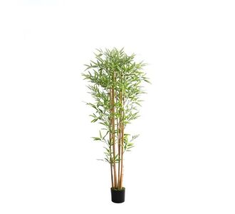 BAMBOO  NP0075_180 ΥΨΟΣ 180cm NewPlan - NewPlan |  Φυτά συνθετικά - Λουλούδια στο espiti