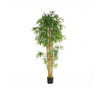 BAMBOO  NP0076_210 ΥΨΟΣ 210cm NewPlan - NewPlan |  Φυτά συνθετικά - Λουλούδια στο espiti
