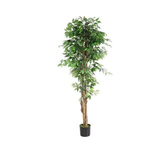 FICUS TREE NP0081_210   ΥΨΟΣ 210cm NewPlan - NewPlan |  Φυτά συνθετικά - Λουλούδια στο espiti