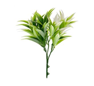 ΔΙΑΚΟΣΜΗΤΙΚΟ ΜΠΟΥΚΕΤΟ (SET 10ΤΜΧ) AMALFI W007 PODOCARPUS NAGI NewPlan - NewPlan |  Φυτά συνθετικά - Λουλούδια στο espiti