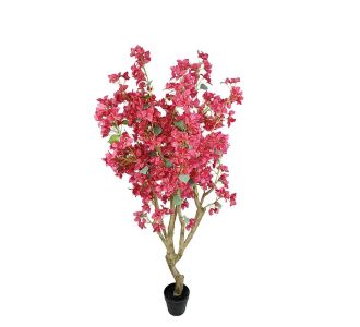 BOUGAINVILLEA  NP0422_170  ΥΨΟΣ 170cm NewPlan - NewPlan |  Λουλούδια στο espiti