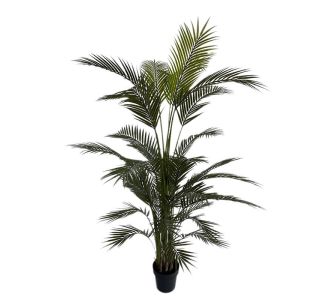 PALM TREE  NP160_210_UV  ΥΨΟΣ 210cm NewPlan - NewPlan |  Λουλούδια στο espiti