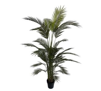 PALM TREE  NP160_210_UV  ΥΨΟΣ 210cm NewPlan - NewPlan |  Φυτά συνθετικά - Λουλούδια στο espiti