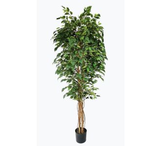 FICUS TREE NP230_210_UV  ΥΨΟΣ 210cm NewPlan - NewPlan |  Λουλούδια στο espiti
