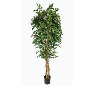 FICUS TREE NP230_210_UV  ΥΨΟΣ 210cm NewPlan - NewPlan |  Φυτά συνθετικά - Λουλούδια στο espiti
