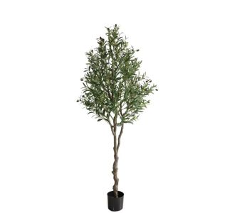 OLIVE TREE NP410_180  ΥΨΟΣ 180cm NewPlan - NewPlan |  Λουλούδια στο espiti