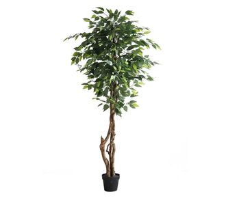FICUS TREE NP5209_180  ΥΨΟΣ 180cm NewPlan - NewPlan |  Φυτά συνθετικά - Λουλούδια στο espiti