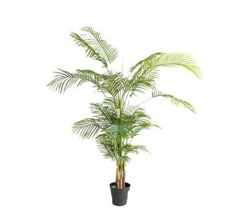 PALM TREE  NP5502_180_22   ΥΨΟΣ 180cm NewPlan - NewPlan |  Φυτά συνθετικά - Λουλούδια στο espiti