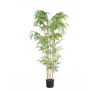 BAMBOO  NP5801_150_22_UV   ΥΨΟΣ 150cm NewPlan - NewPlan |  Φυτά συνθετικά - Λουλούδια στο espiti