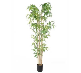 BAMBOO  NP5801_180_22_UV  ΥΨΟΣ 180cm NewPlan - NewPlan |  Φυτά συνθετικά - Λουλούδια στο espiti