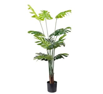 MONSTERA  NP6314_155_22   ΥΨΟΣ 155cm NewPlan - NewPlan |  Φυτά συνθετικά - Λουλούδια στο espiti