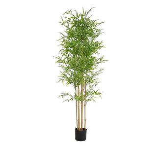 BAMBOO  NP6321_180_22  ΥΨΟΣ 180cm NewPlan - NewPlan |  Φυτά συνθετικά - Λουλούδια στο espiti