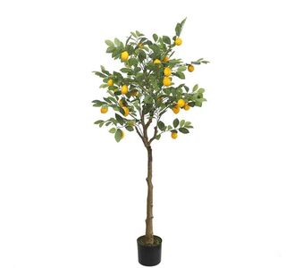 LEMON TREE  NP_30_170  ΥΨΟΣ 170cm NewPlan - NewPlan |  Φυτά συνθετικά - Λουλούδια στο espiti