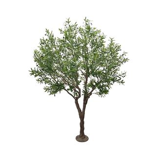 OLIVE TREE NP496_240_UV ΥΨΟΣ 240cm NewPlan - NewPlan |  Φυτά συνθετικά - Λουλούδια στο espiti