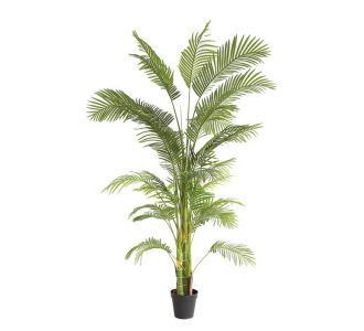 PALM TREE  NP5500_240_22 ΥΨΟΣ 240cm NewPlan - NewPlan |  Λουλούδια στο espiti
