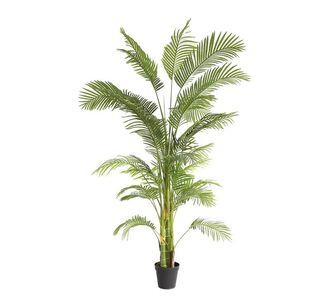 PALM TREE  NP5500_240_22 ΥΨΟΣ 240cm NewPlan - NewPlan |  Φυτά συνθετικά - Λουλούδια στο espiti