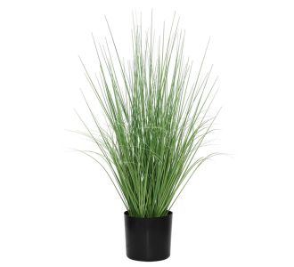 ONION GRASS TREE  NP1009_60 ΥΨΟΣ 60cm NewPlan - NewPlan |  Λουλούδια στο espiti