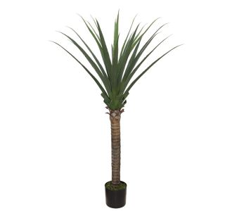 AGAVE TREE  NP802_160  ΥΨΟΣ 160cm NewPlan - NewPlan |  Λουλούδια στο espiti