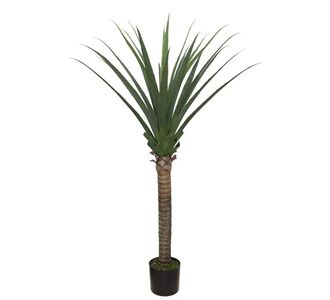 AGAVE TREE  NP802_160  ΥΨΟΣ 160cm NewPlan - NewPlan |  Φυτά συνθετικά - Λουλούδια στο espiti