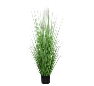ONION GRASS TREE  NP1011_120 ΥΨΟΣ 120cm NewPlan - NewPlan |  Λουλούδια στο espiti