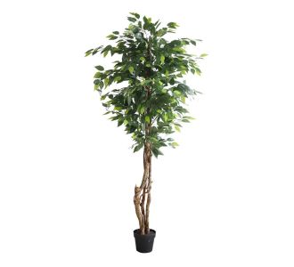 FICUS TREE NP5208_150   ΥΨΟΣ 150cm NewPlan - NewPlan |  Λουλούδια στο espiti