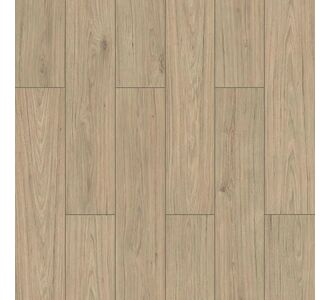 ΔΑΠΕΔΟ LAMINATE  WINGS  4V 8mm 003 HAWK NewPlan - NewPlan |   Laminate  στο espiti